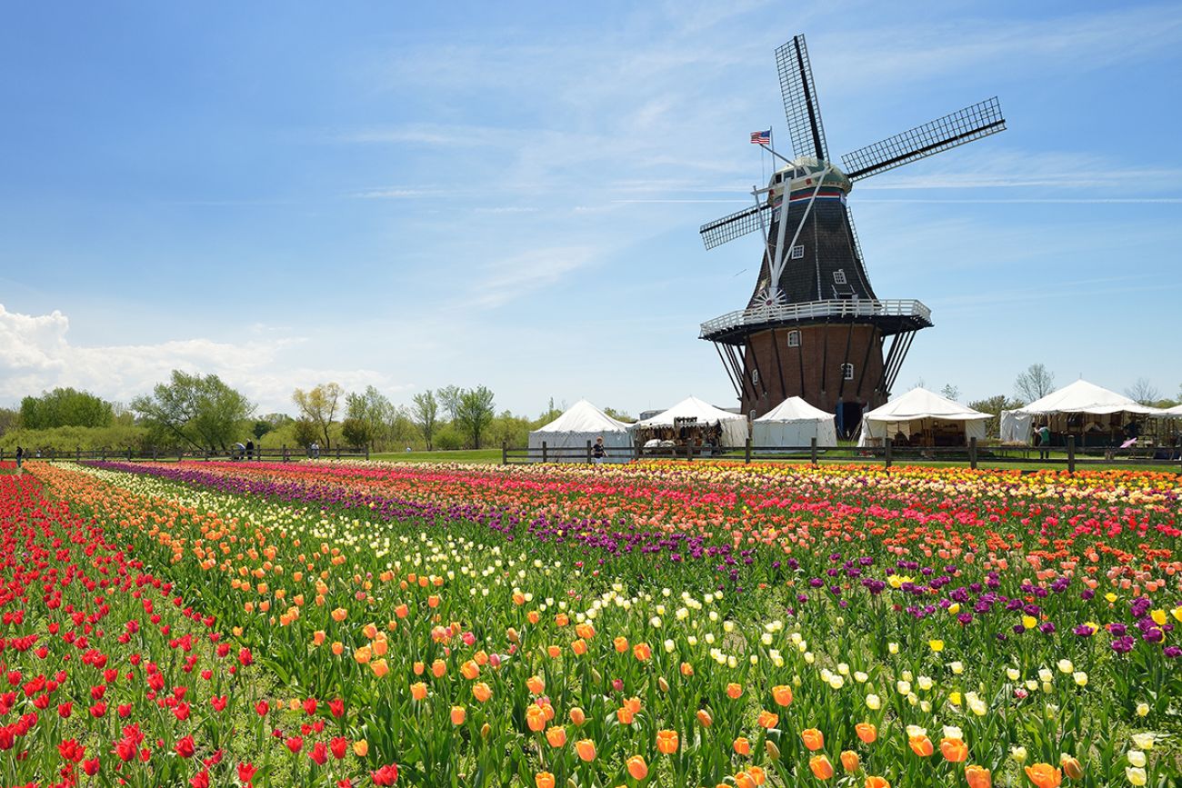 Tulip Time Festival (Holland, Michigan)