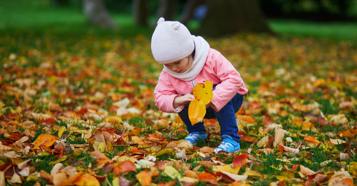 What are 10 facts about autumn